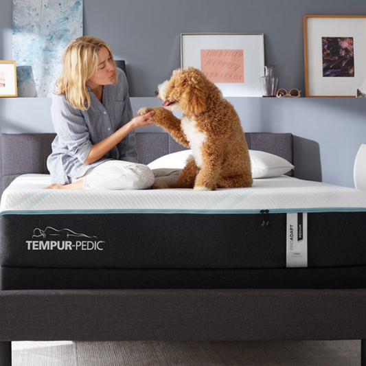 TEMPUR-ProAdapt® 12" Medium Hybrid Mattress